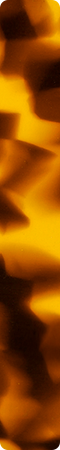 chm921