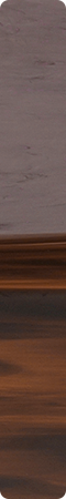 CHR1901
