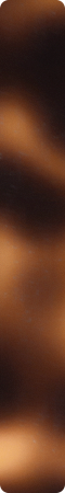 CHHJ005