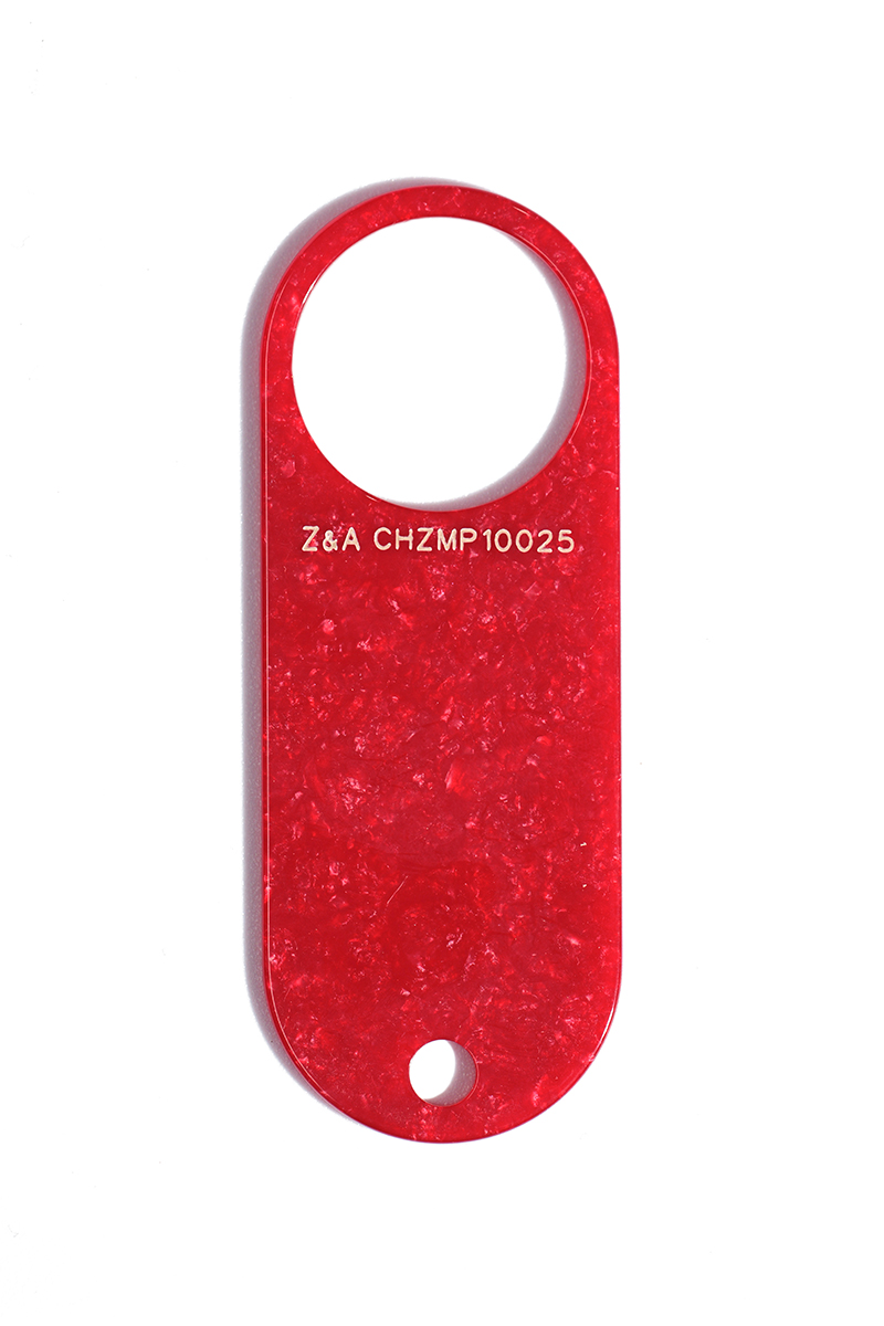 CHZMP10025