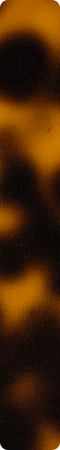 CHHJ008