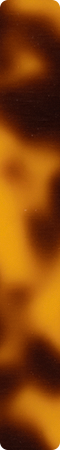 CHHJ044