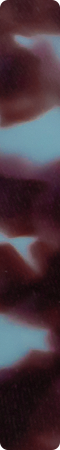 CHMF0055